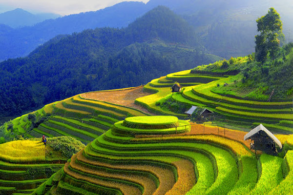 ruong-bac-thang