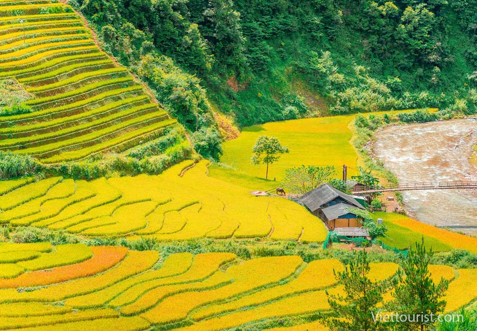 Treasures of Vietnam