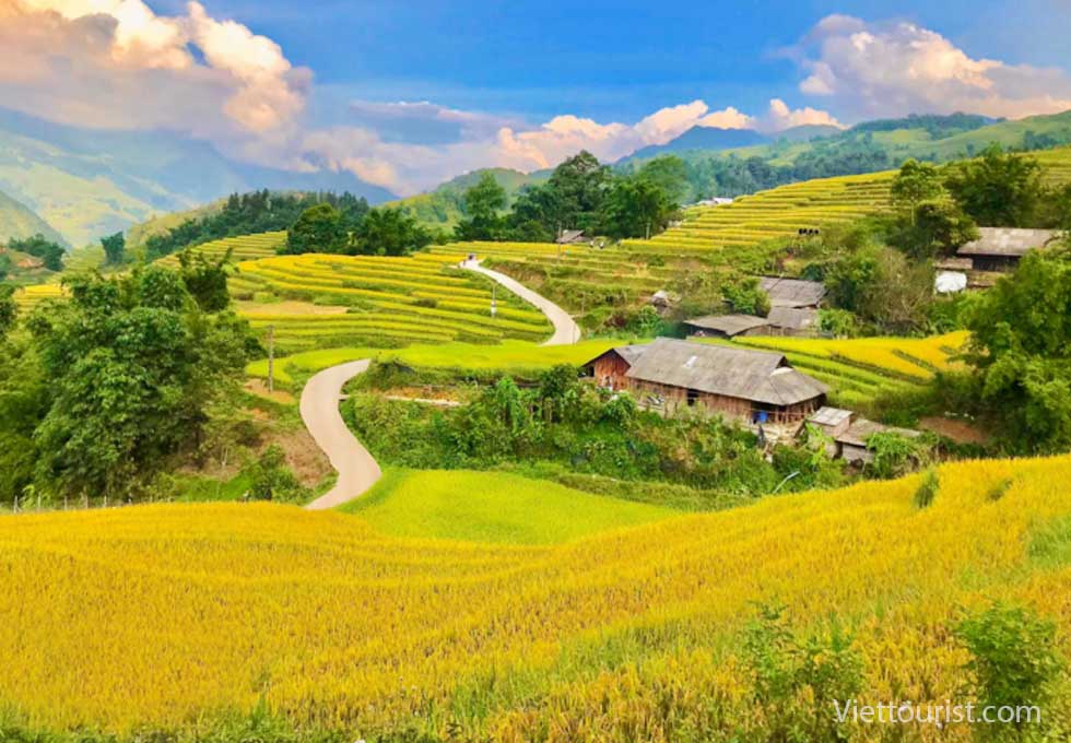 Treasures of Vietnam